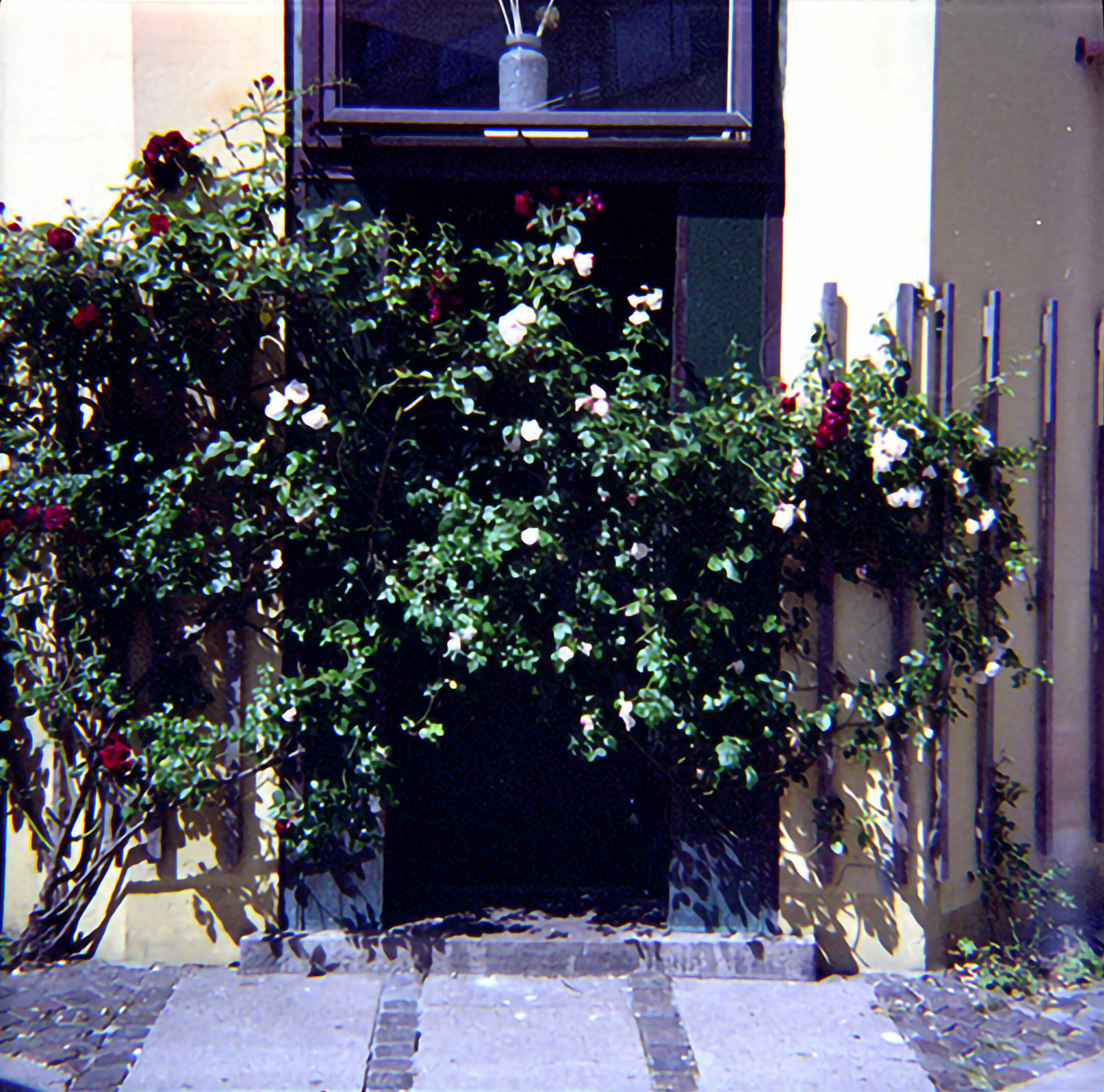 Devanture de maison fleurie à côté d'une grille